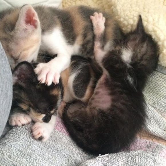 Meet your Posher, Bri - Picture 9 of 9